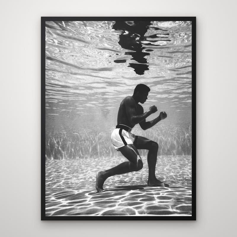 Still Fighting